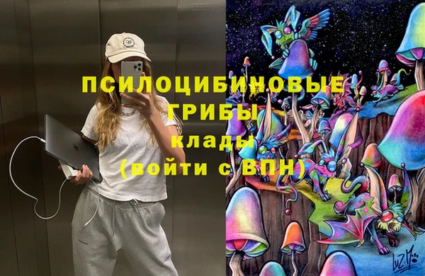 трава Армянск