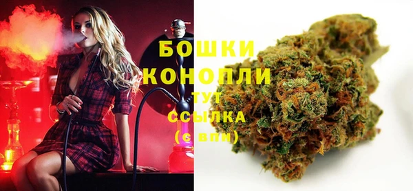 твердый Алзамай