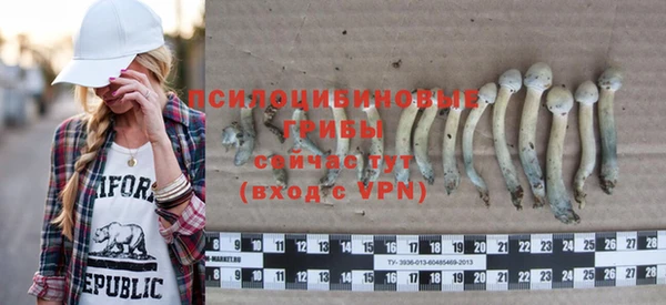 СК Аркадак