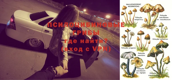 СК Аркадак