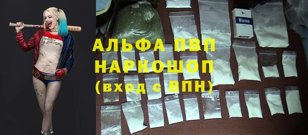 амф Арсеньев