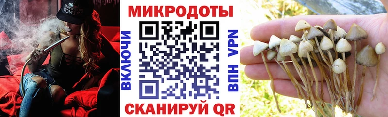 продажа наркотиков  Красный Кут  Галлюциногенные грибы мицелий 