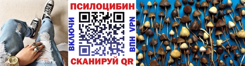 Псилоцибиновые грибы Psilocybine cubensis Красный Кут